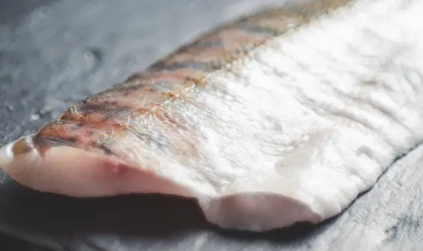 Can we eat fish frozen for 1 or 2 years? - My Gustatorium